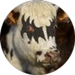 Profile photo of Robert Montena