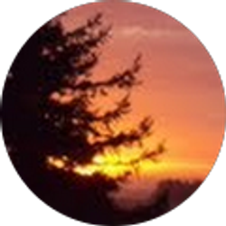 Profile photo of Bonnie MacEvoy