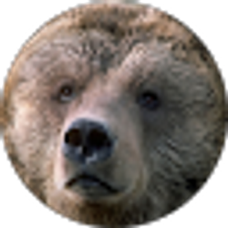 Profile photo of Mary Johnson