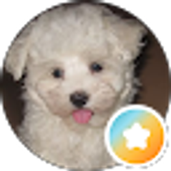 Profile photo of mike dileo