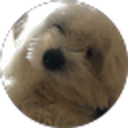 Profile photo of Rosemarie Robinson