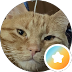 Profile photo of Misty Petit