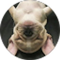 Profile photo of angela smith