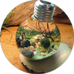 Profile photo of Donna Binns