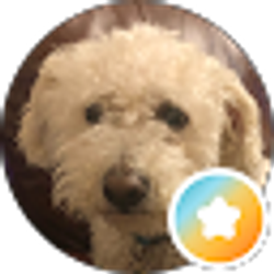 Profile photo of Wal2ban Ban