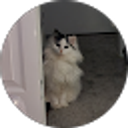 Profile photo of Adrianna Flood