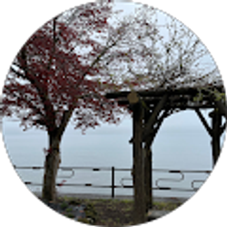 Profile photo of Seanheamin