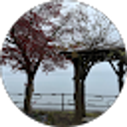 Profile photo of Seanheamin