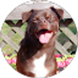 Profile photo of Robin G