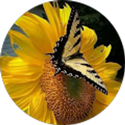 Profile photo of Tracy Brumfield