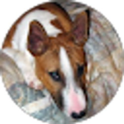 Profile photo of Gisele Wurzburger