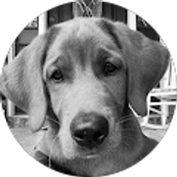 Profile photo of Bradley Pregon