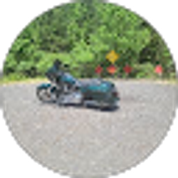 Profile photo of Arkansas 220