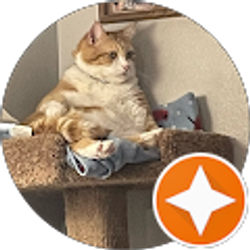 Profile photo of Rachel Amstutz