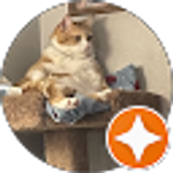 Profile photo of Rachel Amstutz