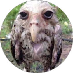 Profile photo of Seb G