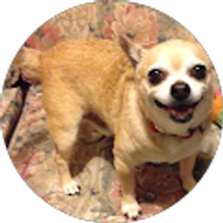 Profile photo of Zuzzok