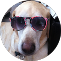 Profile photo of Michelle L