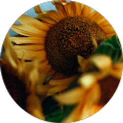 Profile photo of Estefania Grady