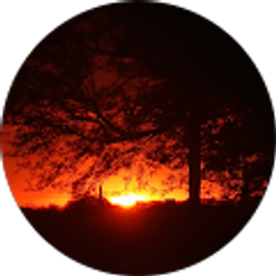 Profile photo of Ricardo Valdez