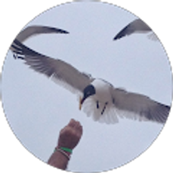 Profile photo of Roland Ashby