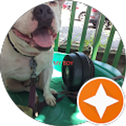 Profile photo of mike R