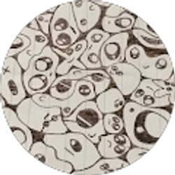 Profile photo of Gaven Landry