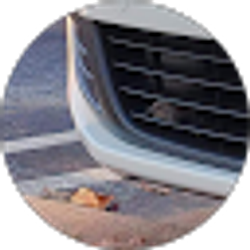 Profile photo of Heather O