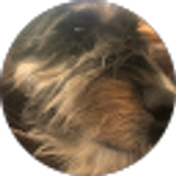Profile photo of Mason Haynes