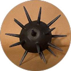 Profile photo of Ava Althaus