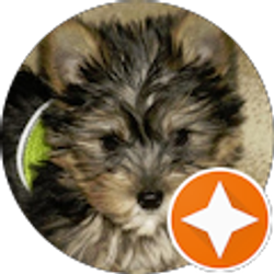 Profile photo of Sherri Boswell