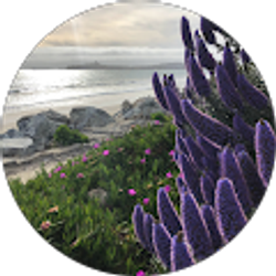 Profile photo of cece adams