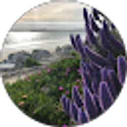 Profile photo of cece adams