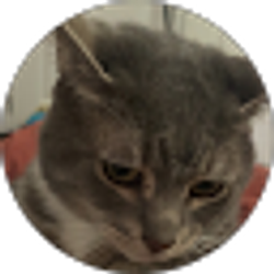 Profile photo of Alyssa Carros