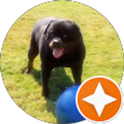 Profile photo of PNUT