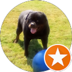 Profile photo of PNUT