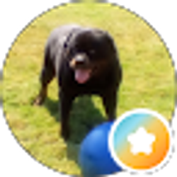 Profile photo of PNUT