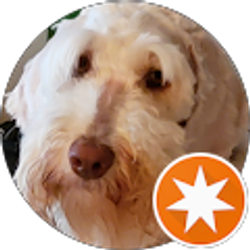 Profile photo of Laura Suarez