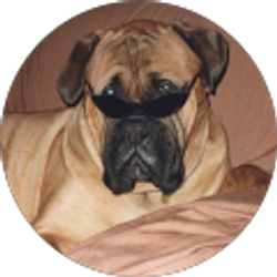 Profile photo of John O