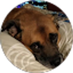Profile photo of Ms Dee