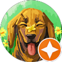 Profile photo of Licinio Centeio