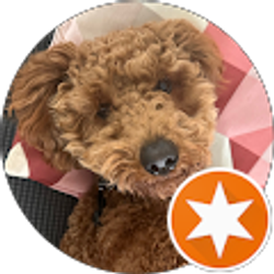 Profile photo of Sneha P