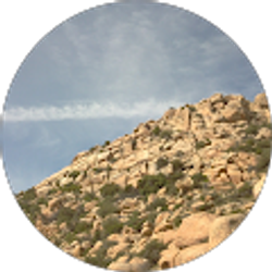 Profile photo of Patrick Harris