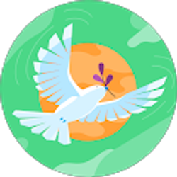 Profile photo of Evy H