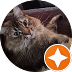 Profile photo of China