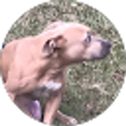 Profile photo of Hayden Sullivan