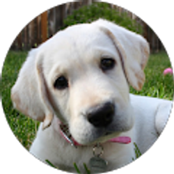 Profile photo of Jackie Bowers