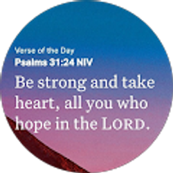 Profile photo of Donna Jones