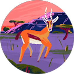 Profile photo of Niki Kotecha