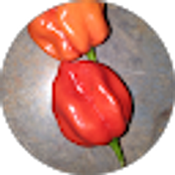 Profile photo of RjM